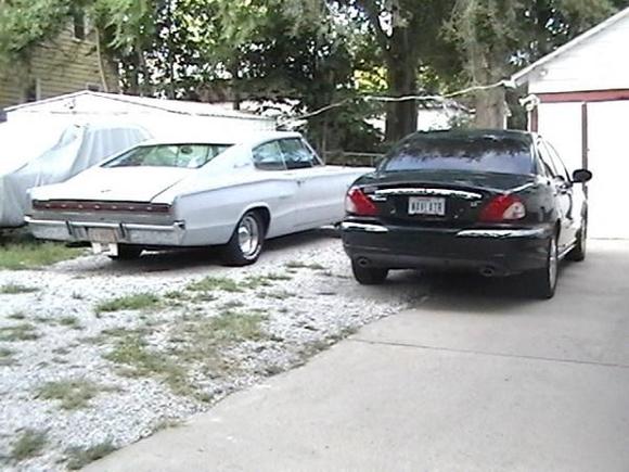 The Green Cat &amp; her buddy The Charger