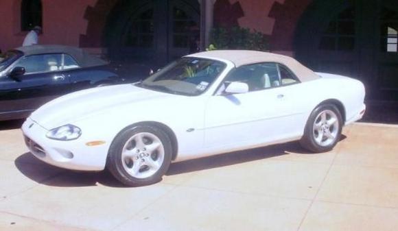 Prissy, 2000 XK-8 2013 National JCNA Champion (Championship Class)