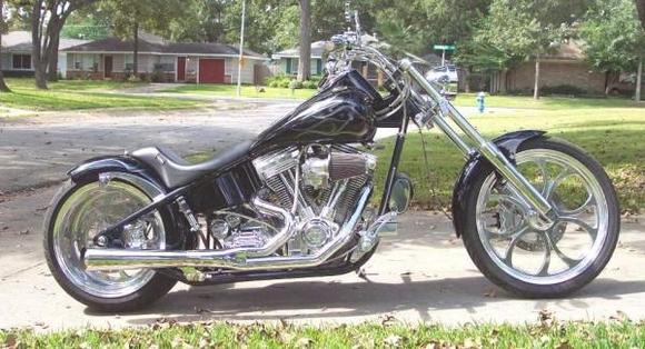 '01 BigDog - Pitbull