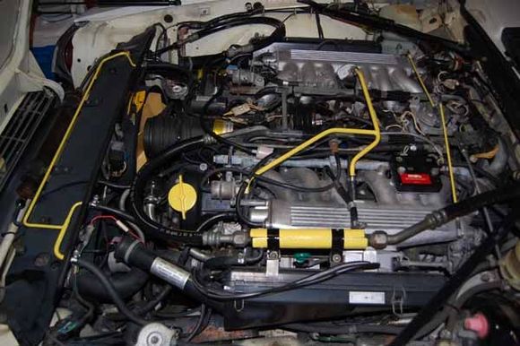 Just a shot of her getting dressed up