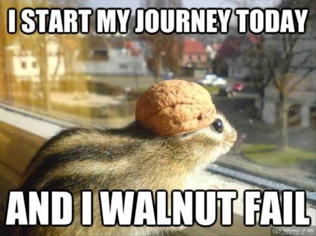 i_start_my_journey_today_and_i_walnut_fail_funny_animal_squirrel_meme_picture_64695dc3abd36a4d13967b2078516cbc2a5b413d.jpg