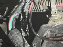 Close up of the two wires coming out of harness.