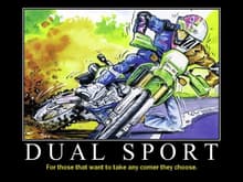 Dual sport