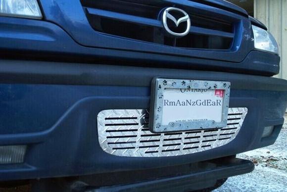 grill insert