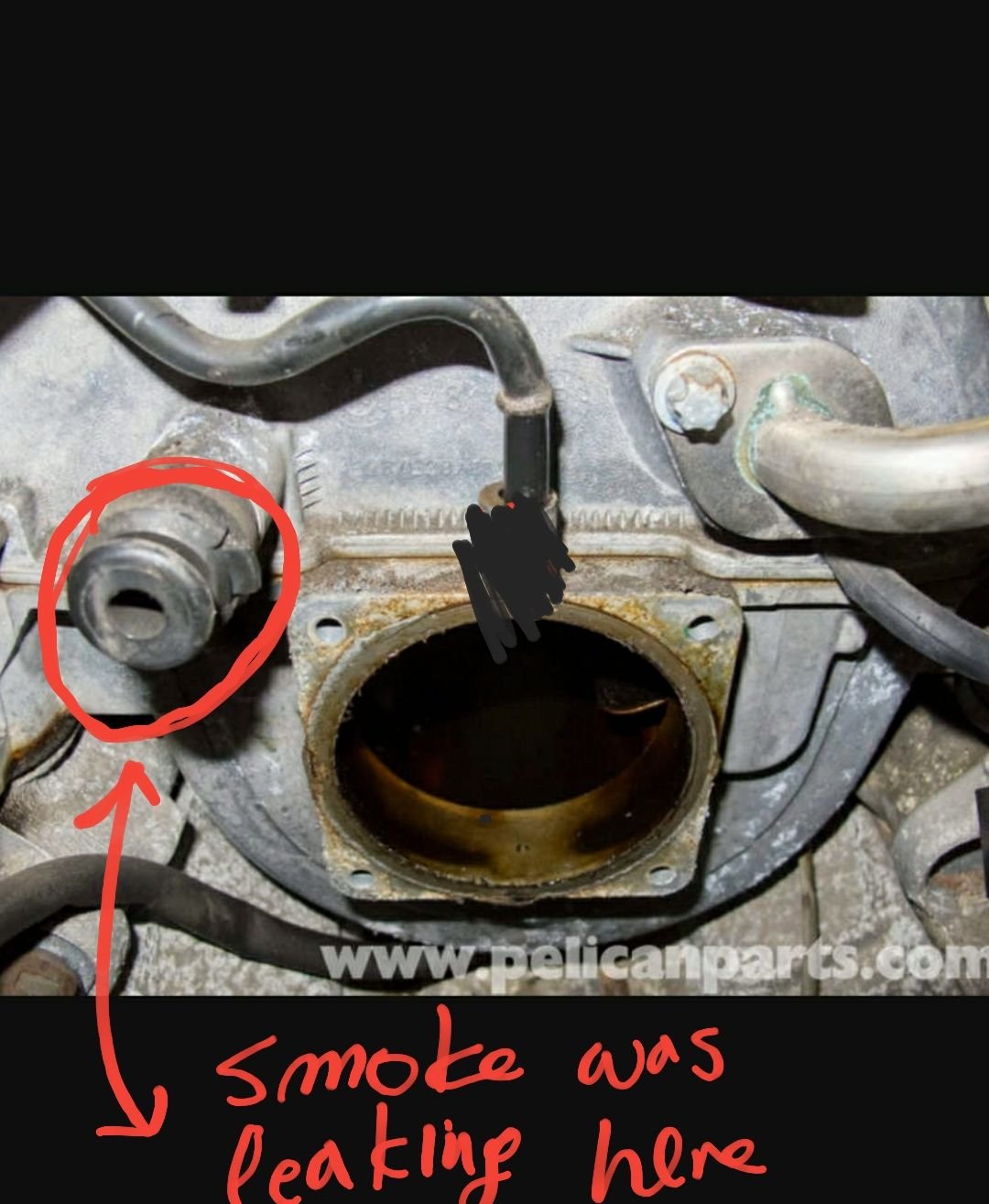 E320 Vacuum Leak Help Forums