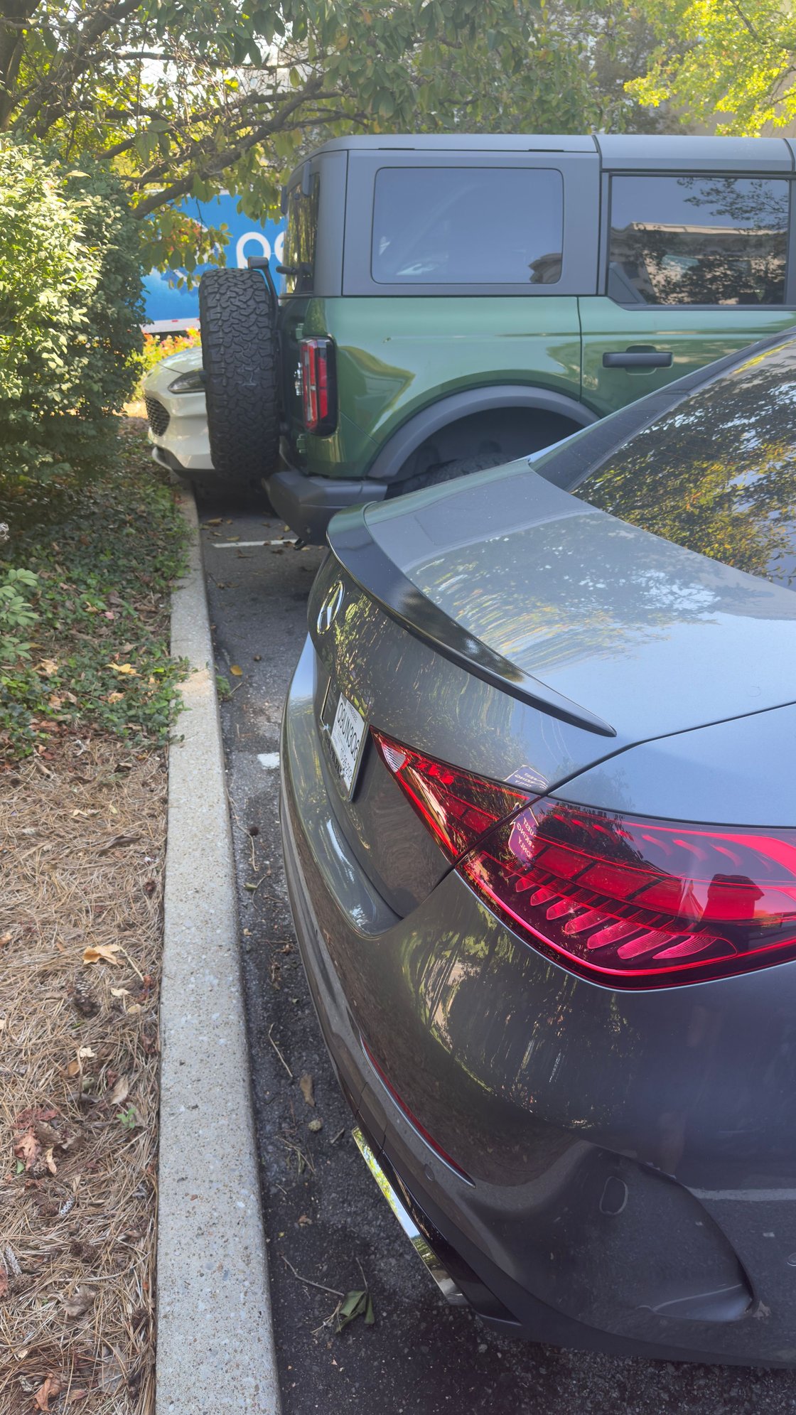 wrapped spoiler 
