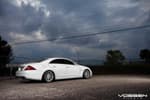 BEAUPHUS VOSSEN CLS55