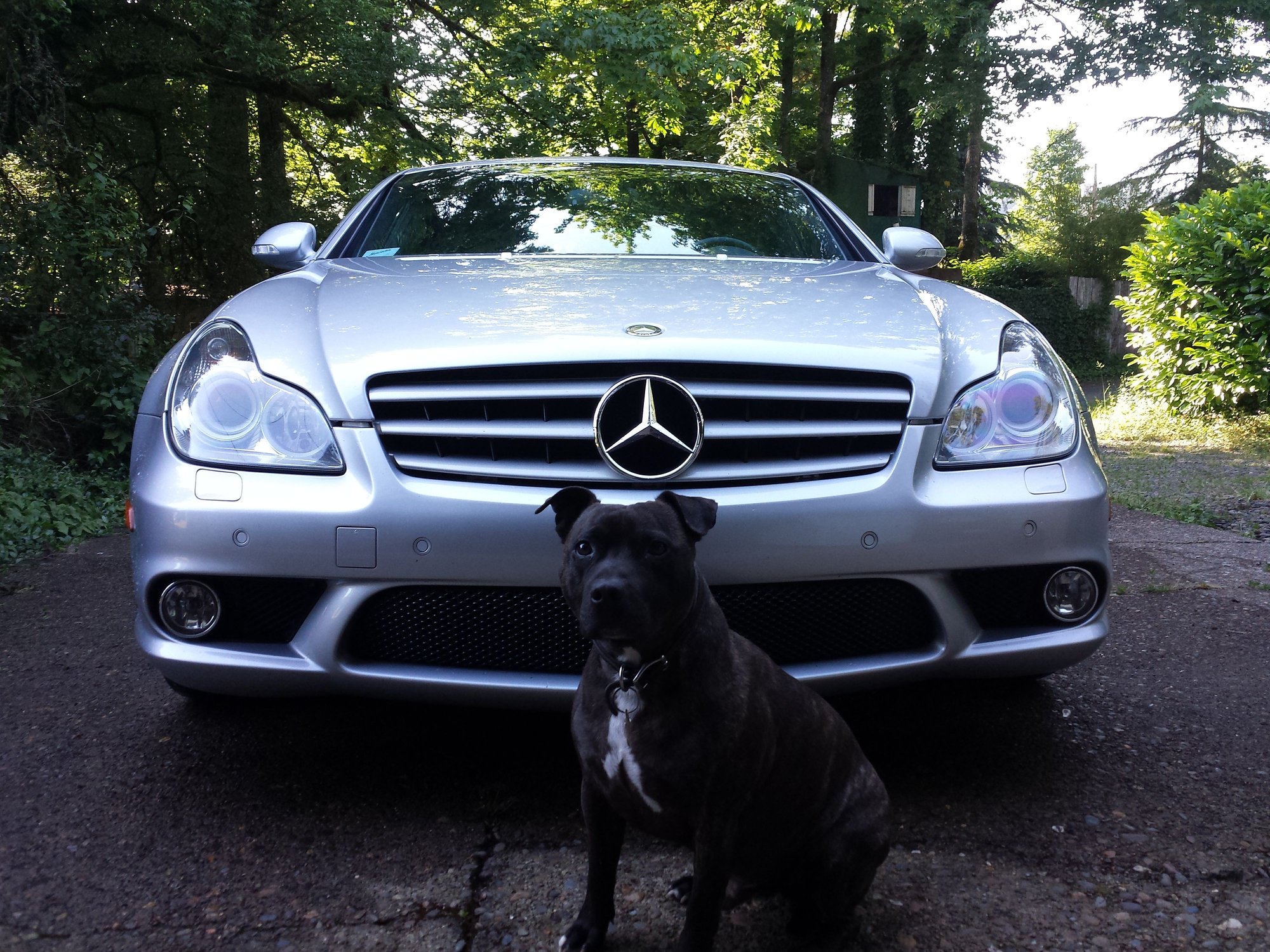 2007 Mercedes-Benz CLS63 AMG - Well Sorted 2007 CLS-63 for Sale - Used - VIN wdddj77x77a103680 - 123,524 Miles - 8 cyl - 2WD - Automatic - Sedan - Silver - West Linn, OR 97068, United States