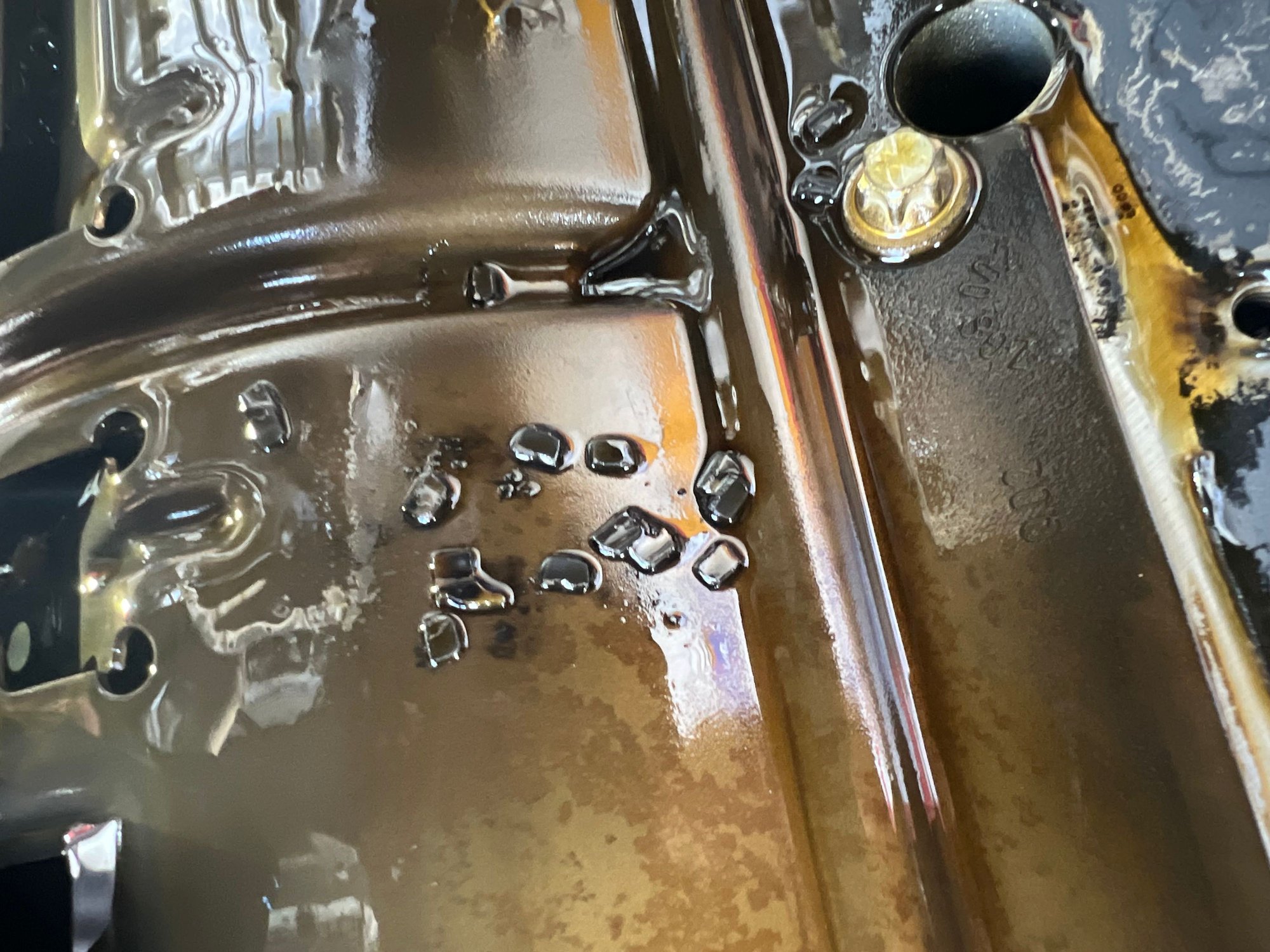 Bits of gear teeth found during timing chain replacement. 