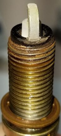 Cylinder 1