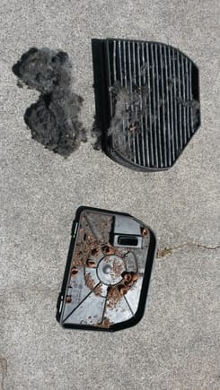 Cabin air filter and bottom of blower box