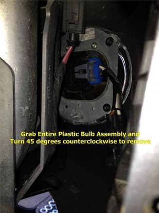 6 Bulb Assembly Removal