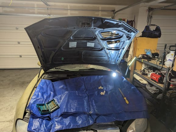 I would recommend taking the hood off for best results. I was on a time crunch and my heart wasn't into it.