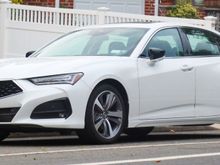 Tlx