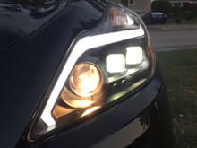 Halogen bulb for high/fogs came installed