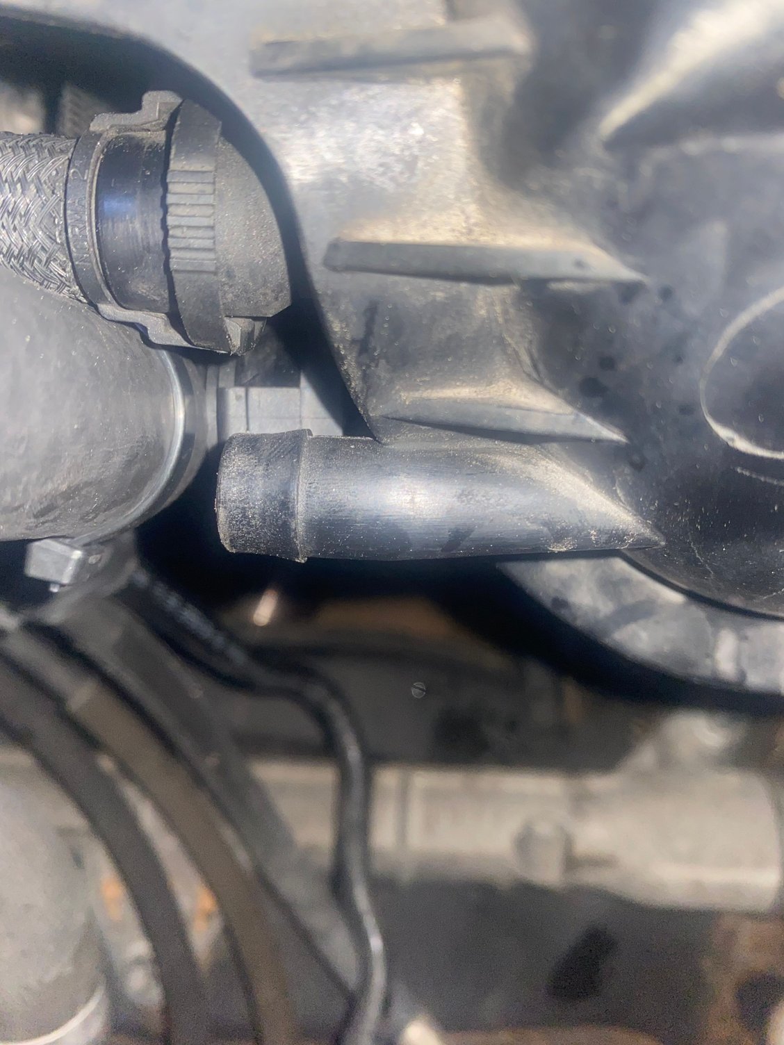 R56 p0442 small leak in evap North American Motoring