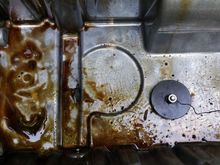 Dragging a high power magnet around after dropping the oil pan.
Happy to discover - No metal particulates. The crap in the pan are remnants of a disintegrated rubber drain plug O-ring and bits of various crud that had fallen in when dropping the pan.