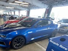 Got to be a Camaro in the mix