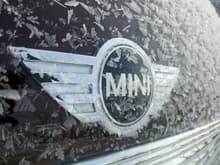 Mini Logo Ice weblg