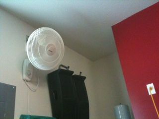 fan2