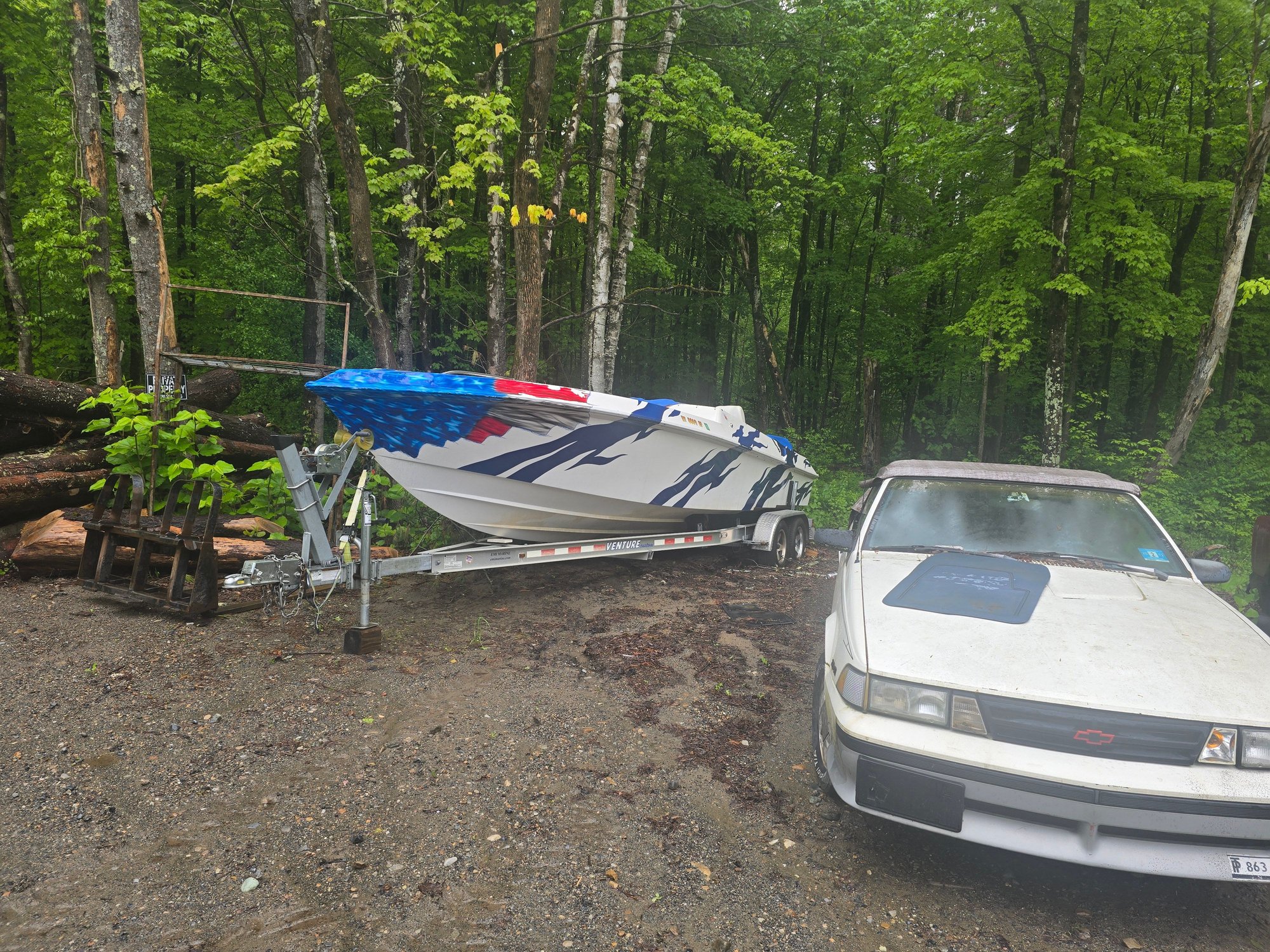 saw this in northern LK George thiis weekend.   