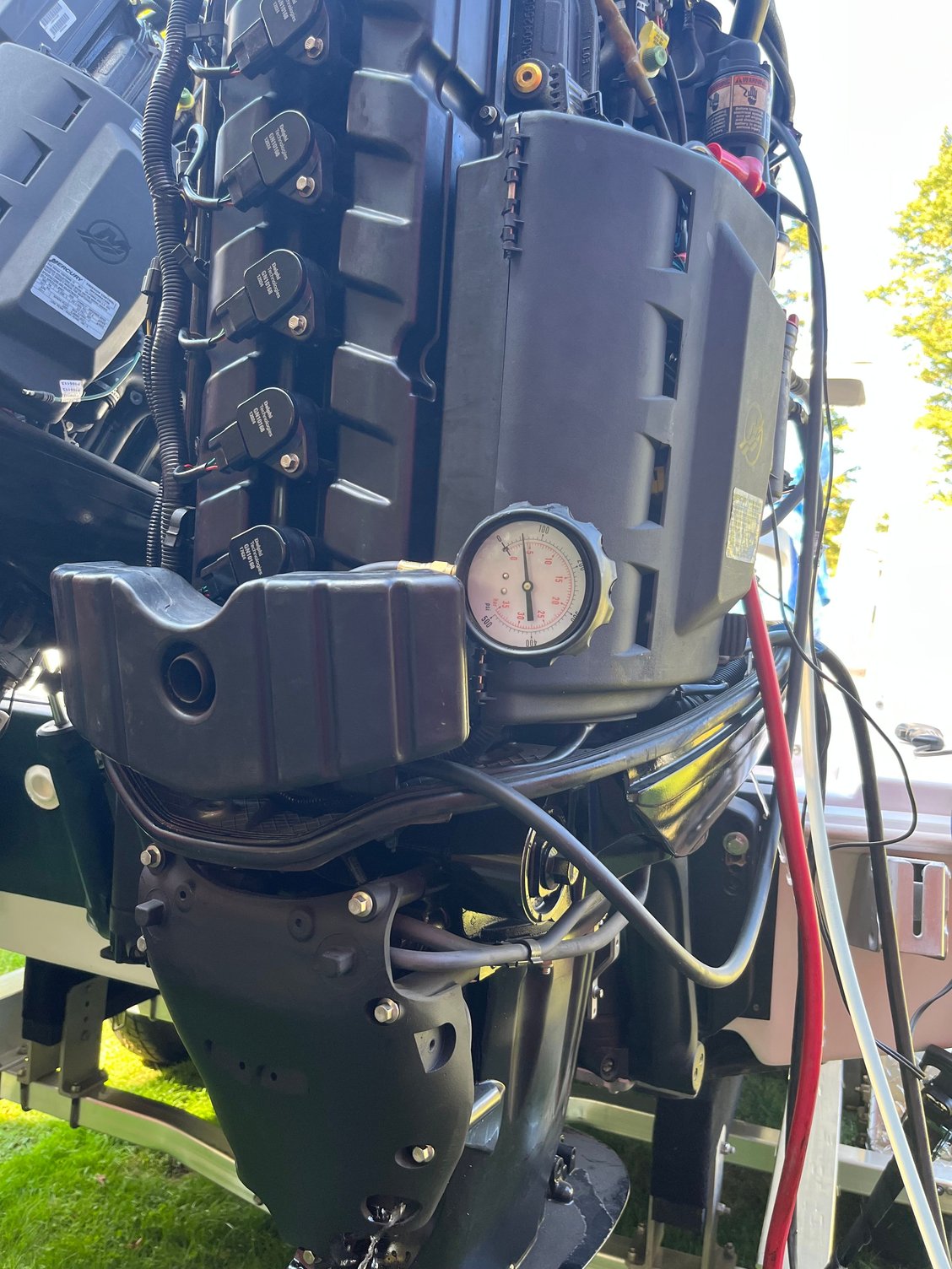 55 psi oil pressure, cold, idle.