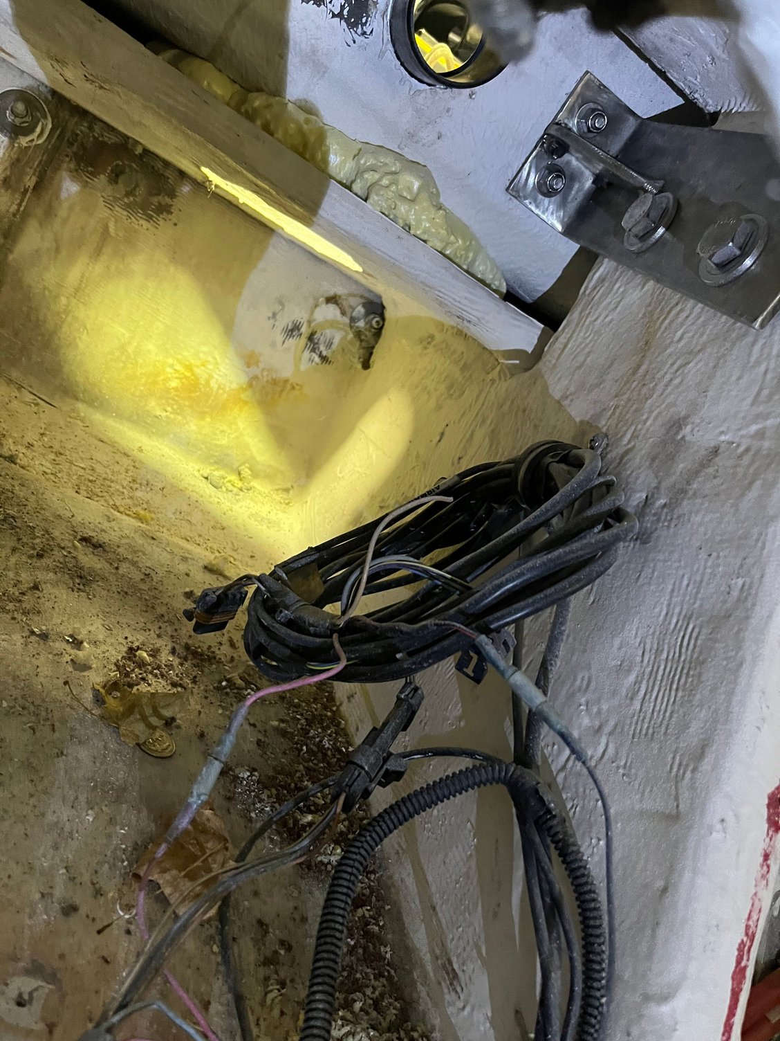 Bilge area was stripped out, cleaned and painted.