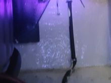 Blue is dye color