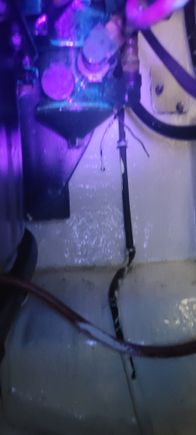 Blue is dye color