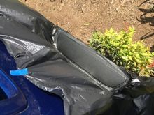 Little plant is helping.  