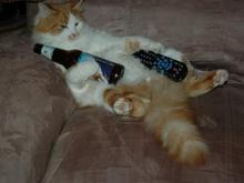 KATZ