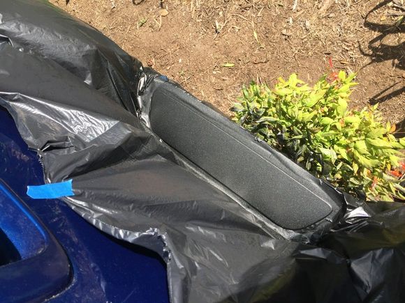 Little plant is helping.  