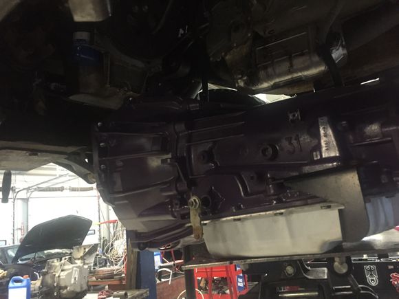 New trans goin in....