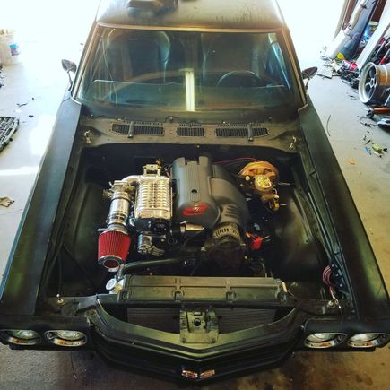 Test fitting whipple