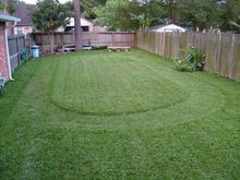 natural turf track May 14, 2019