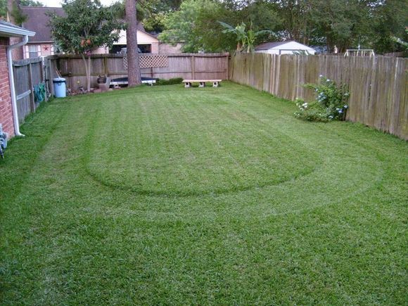 natural turf track May 14, 2019