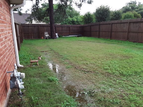 Backyard track in the wet