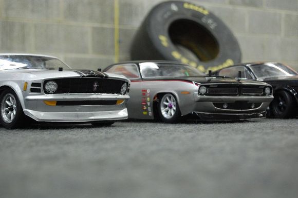 DSC 5491