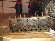 I've seen better looking heads on beer!