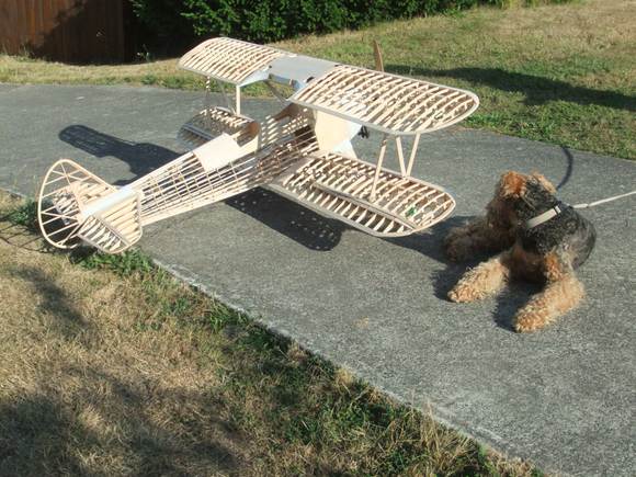 Large Airplane really.