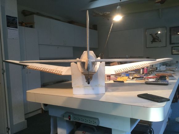 Rear view. Looks straight anyway! 😆 