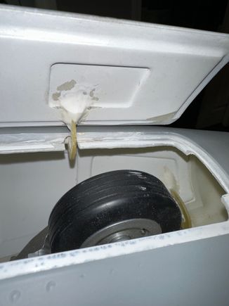 Nose wheel aligned with relief in gear door above so the door will close fully. 