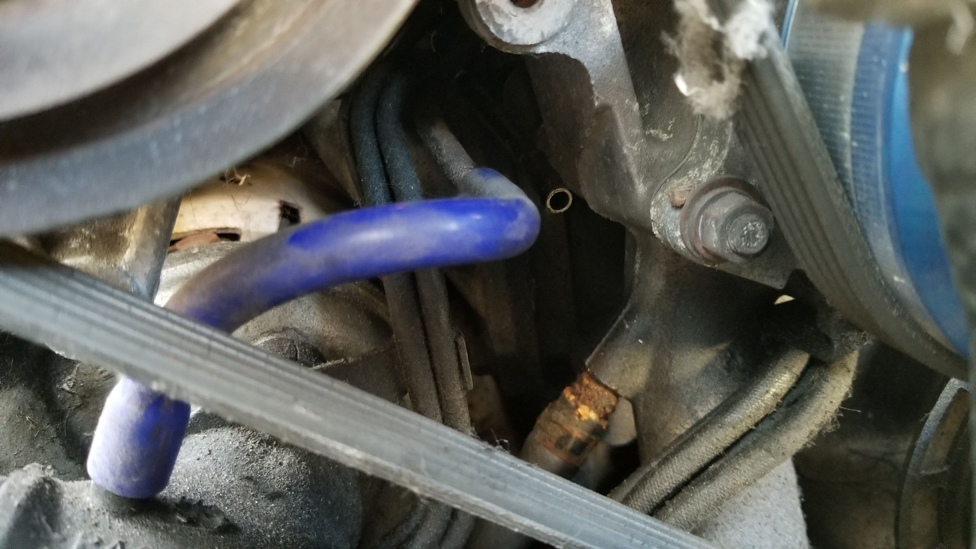 Replacing vacuum hoses and found a plug and exposed Hardline. Need help