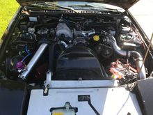 Fmic 