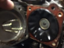 Bit blurry but this is what the diaphragm looks like. There appears to be a bit of a fuel leak. This may be the source of the fuel on my spacer plate I've been seeing since rebuilding the carb.