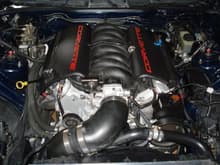 2002 LS6 Z06 Engine
412 rwhp/405tq
