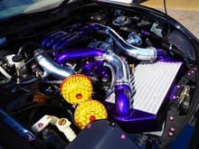 Purple or polished IC pipes?? Tough Call!