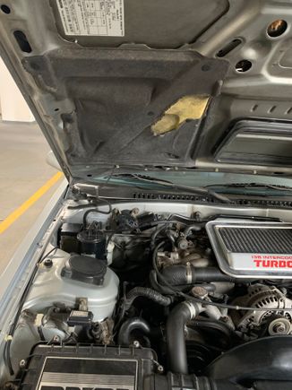 Finally getting around to replacing the hood insulation 