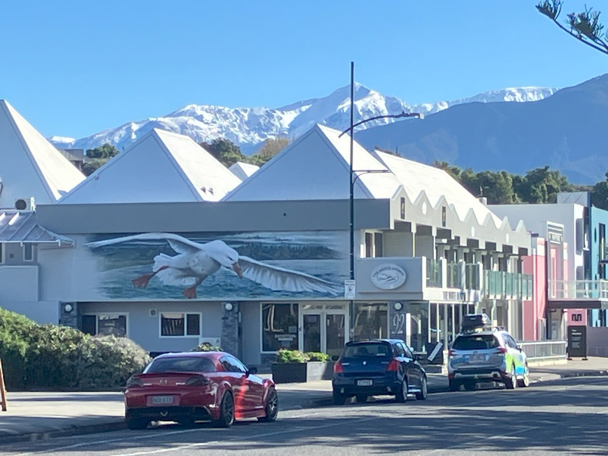 Final leg of the trip at Kaikoura on way North 