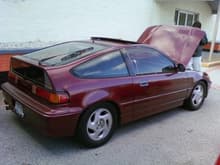 my project crx